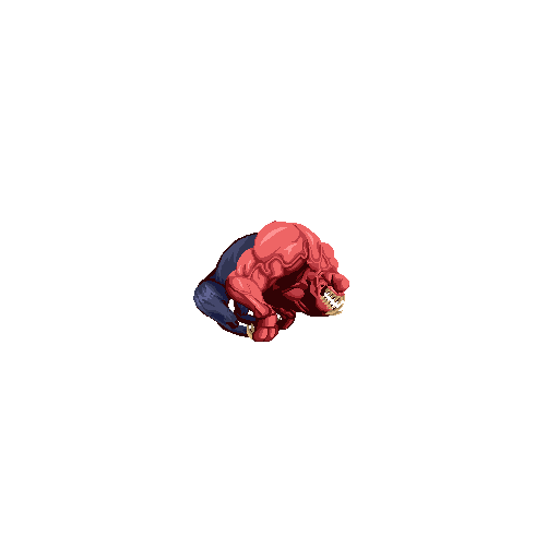 Dog_Run_01.gif