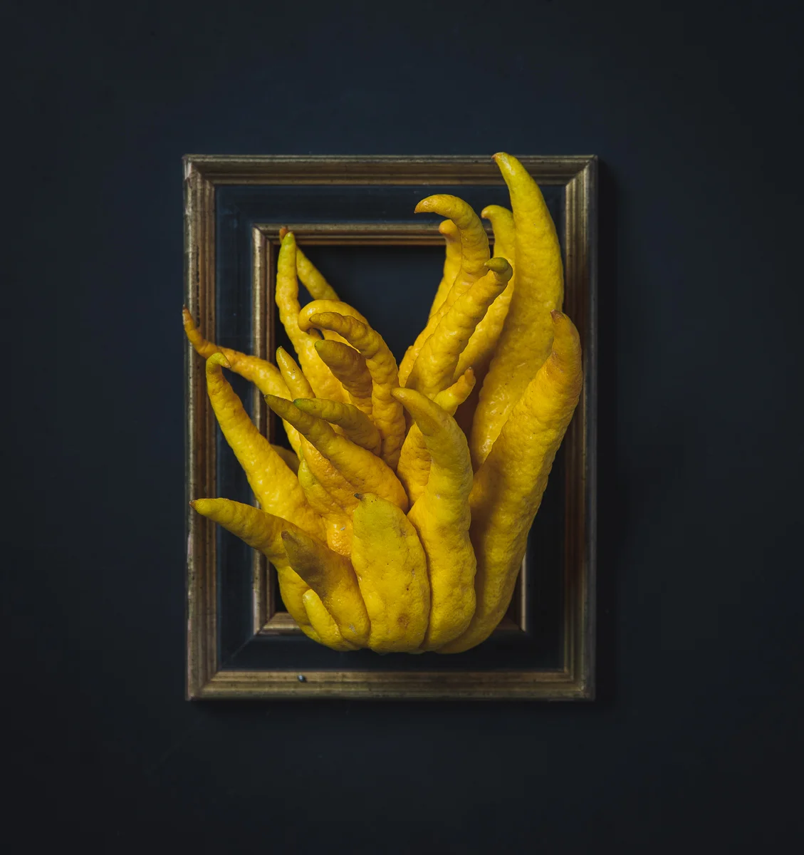 Buddha Hand