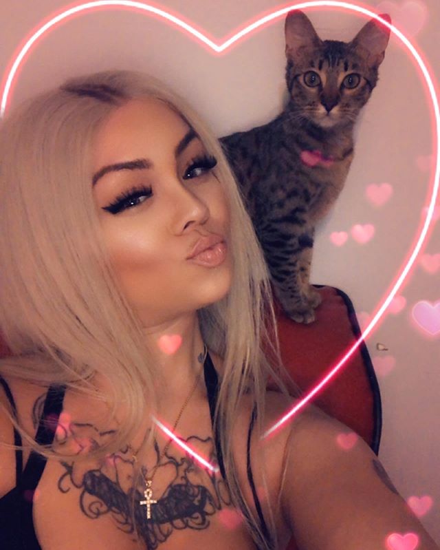 We so cute 💗 
#goodmorning #tuesday #vibes #catsofinstagram #instapic #instadaily #pretty #cats #savannahcat #exoticpets #cute #snapchat #instapic #picoftheday #furbaby #love #followme #share #fun #lifestyle #houston #instacat #petsofinstagram #pets