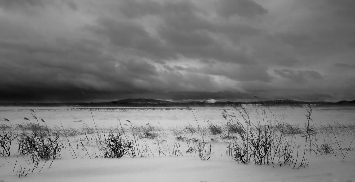 L1040447+blowing+snow+copy.jpg
