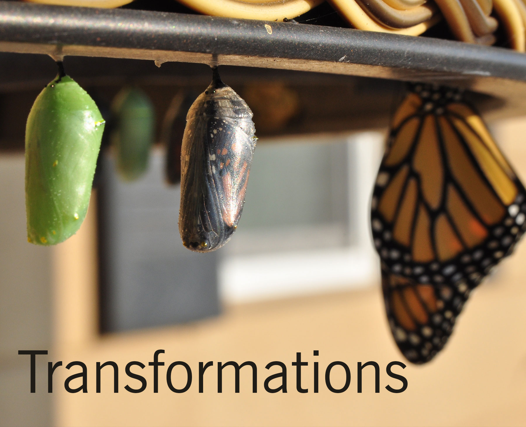 transformations-home.jpg