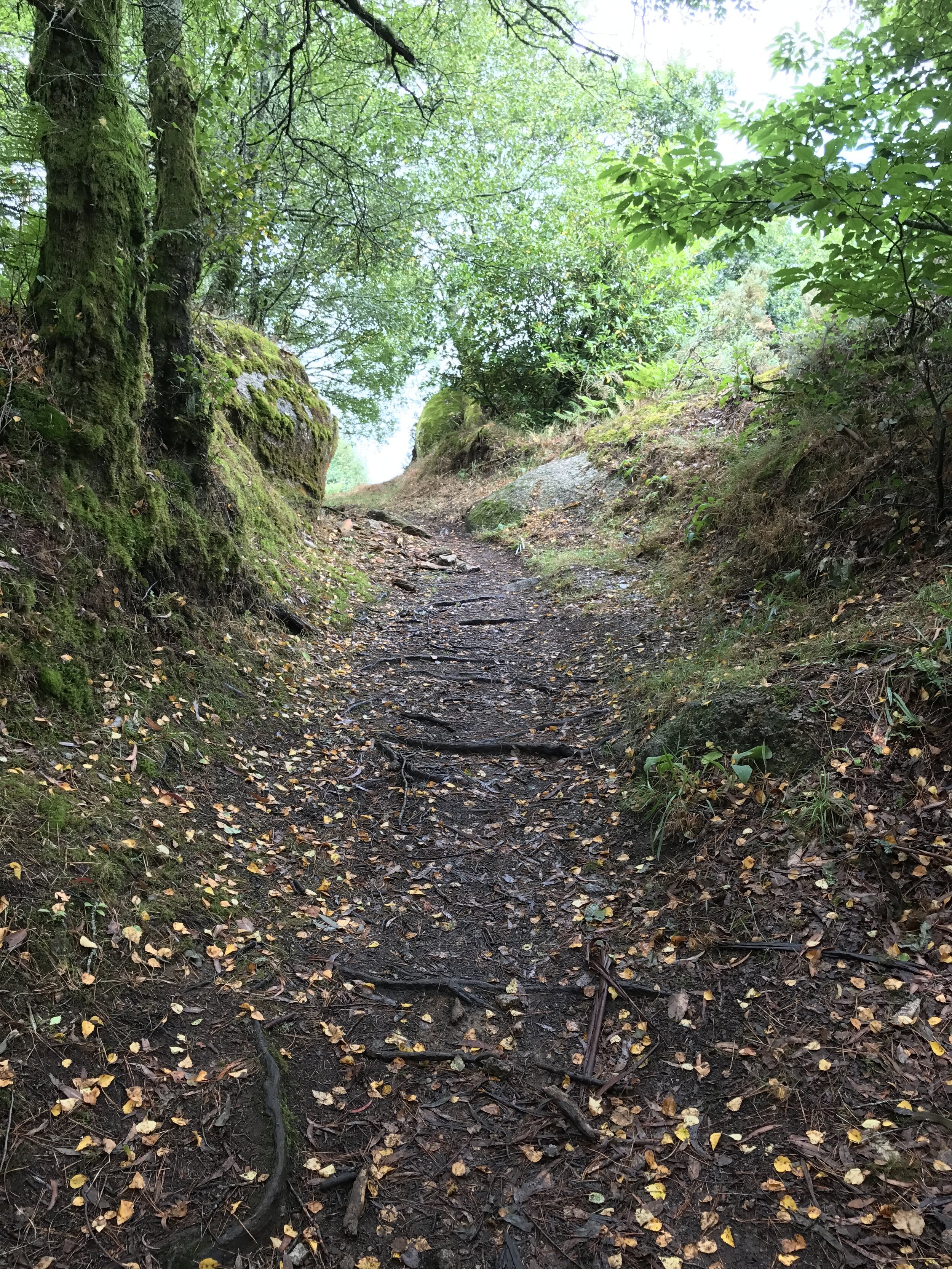 2019. Camino trail. Spain.