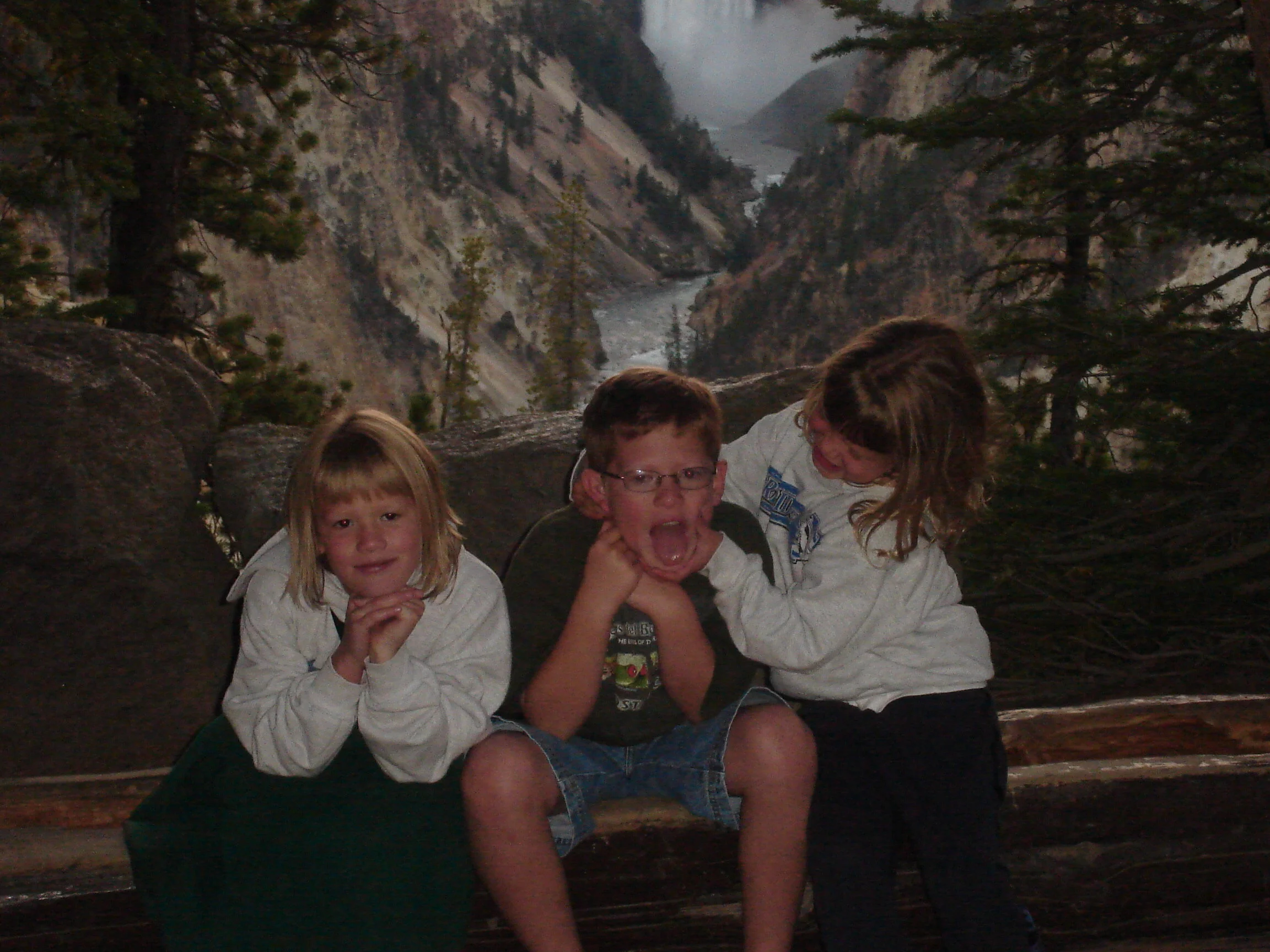 2005. Yellowstone.