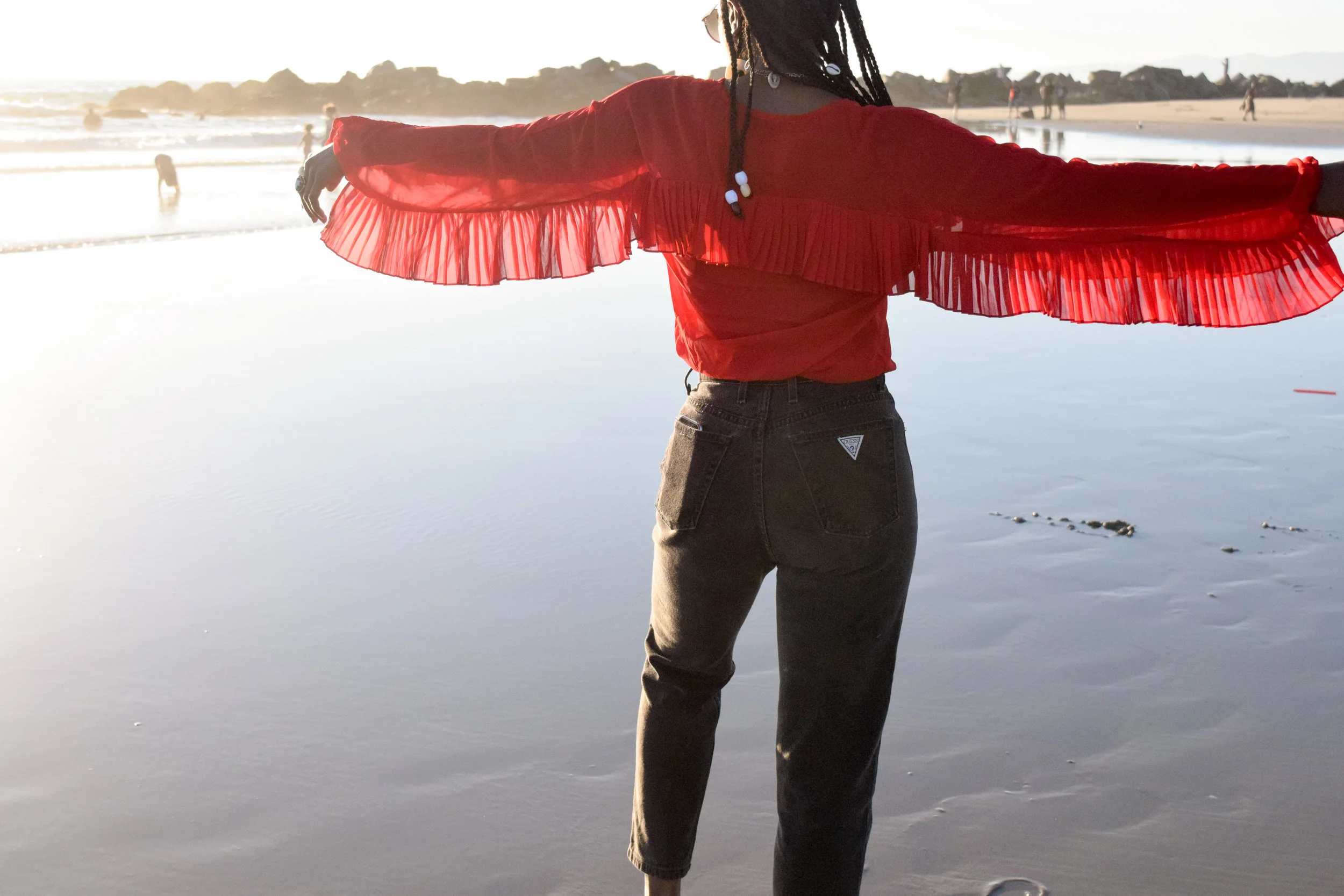 Venice Beach Phoenix