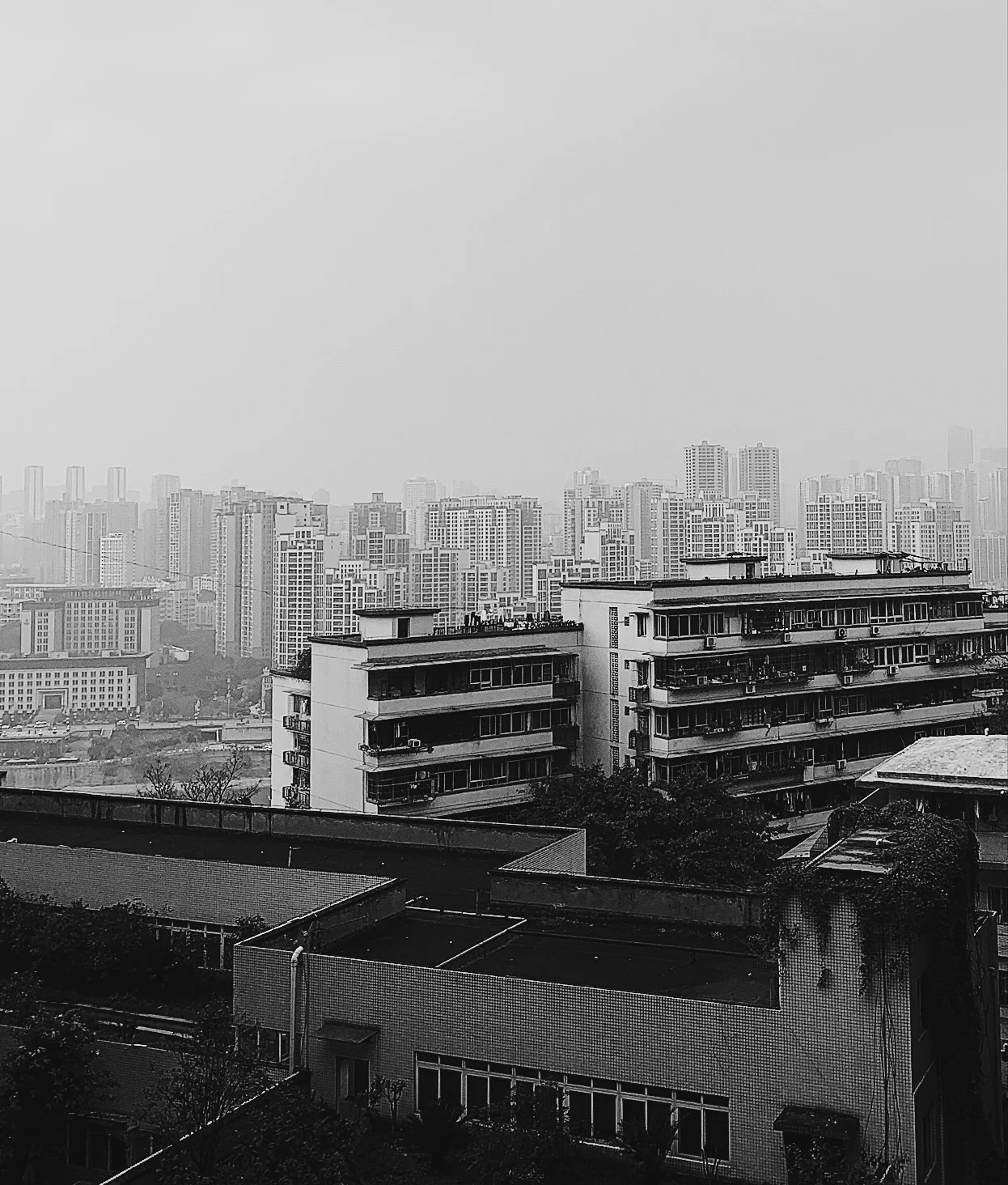 DEE3E0F8-616A-4C7D-AAB0-7B3A84683411.JPG