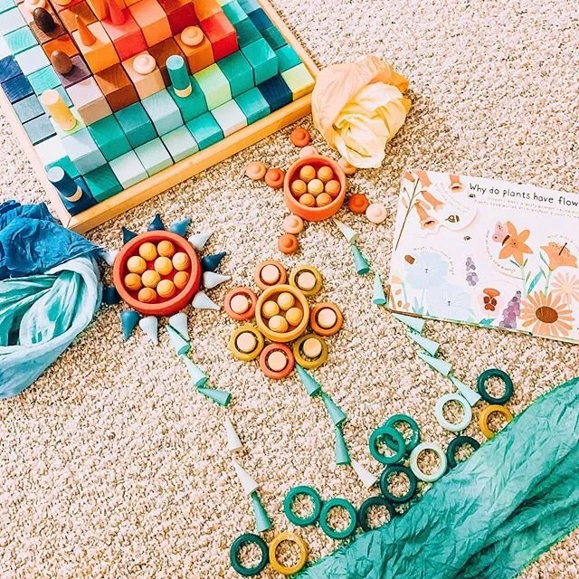 Why do plants have flowers? // I have only just recently started to incorporate some "bookish players" into our daily learning and I am so grateful to have found such incredible inspiration here.  It is amazing how far a quality non-fiction