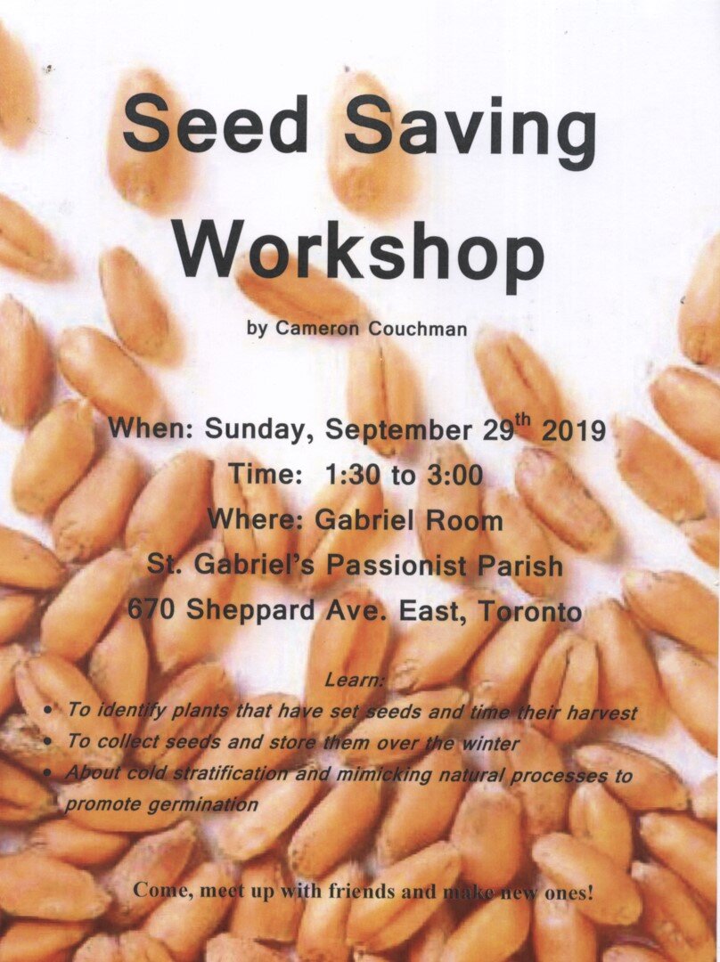 Seed saving workshop.jpg