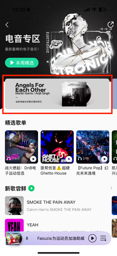 QQ Music - Electronic Main Banner - Martin Garrix & Arijit Singh - Angels For Each Oter_h500.PNG