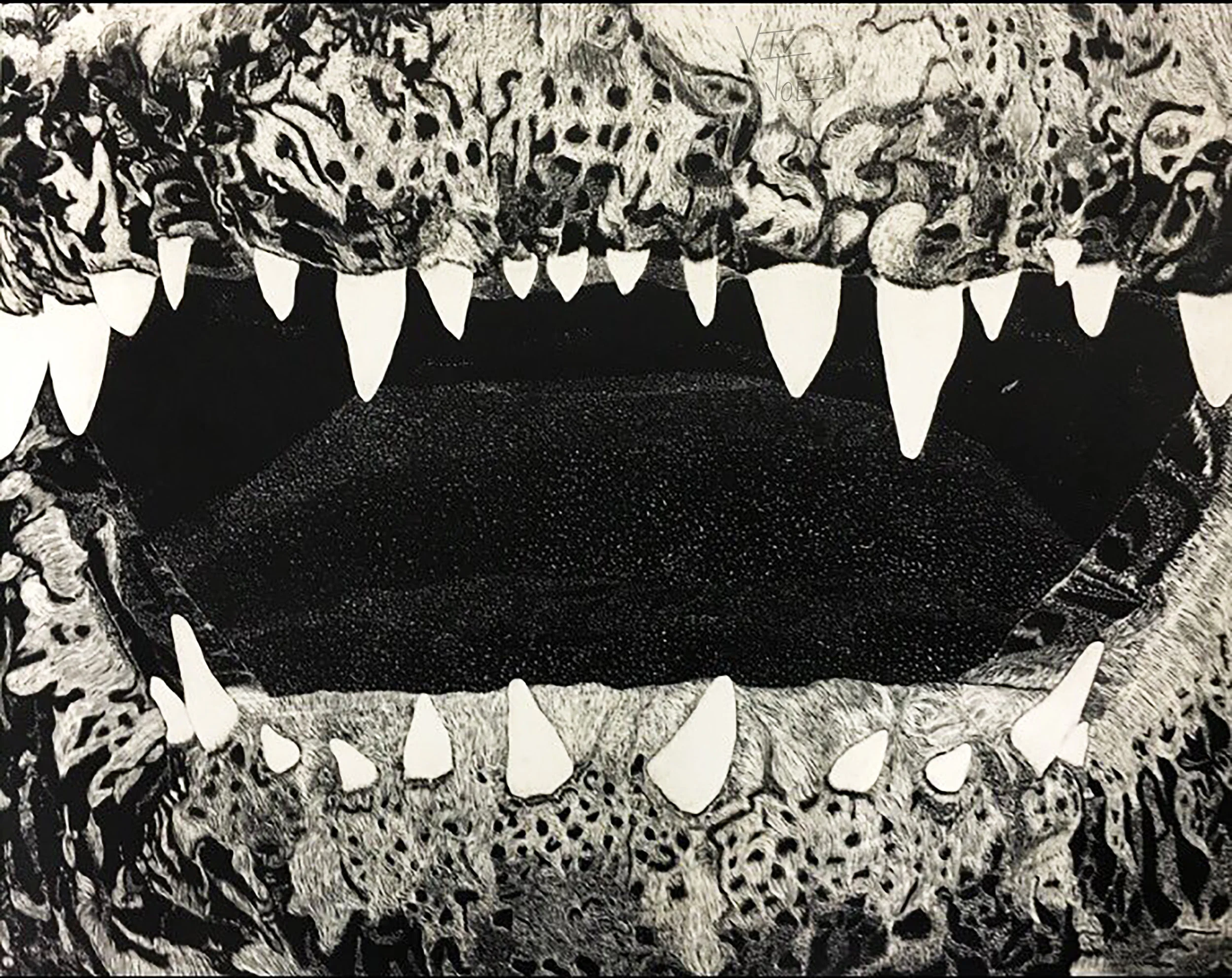 alligator mouth scratchboard.jpg