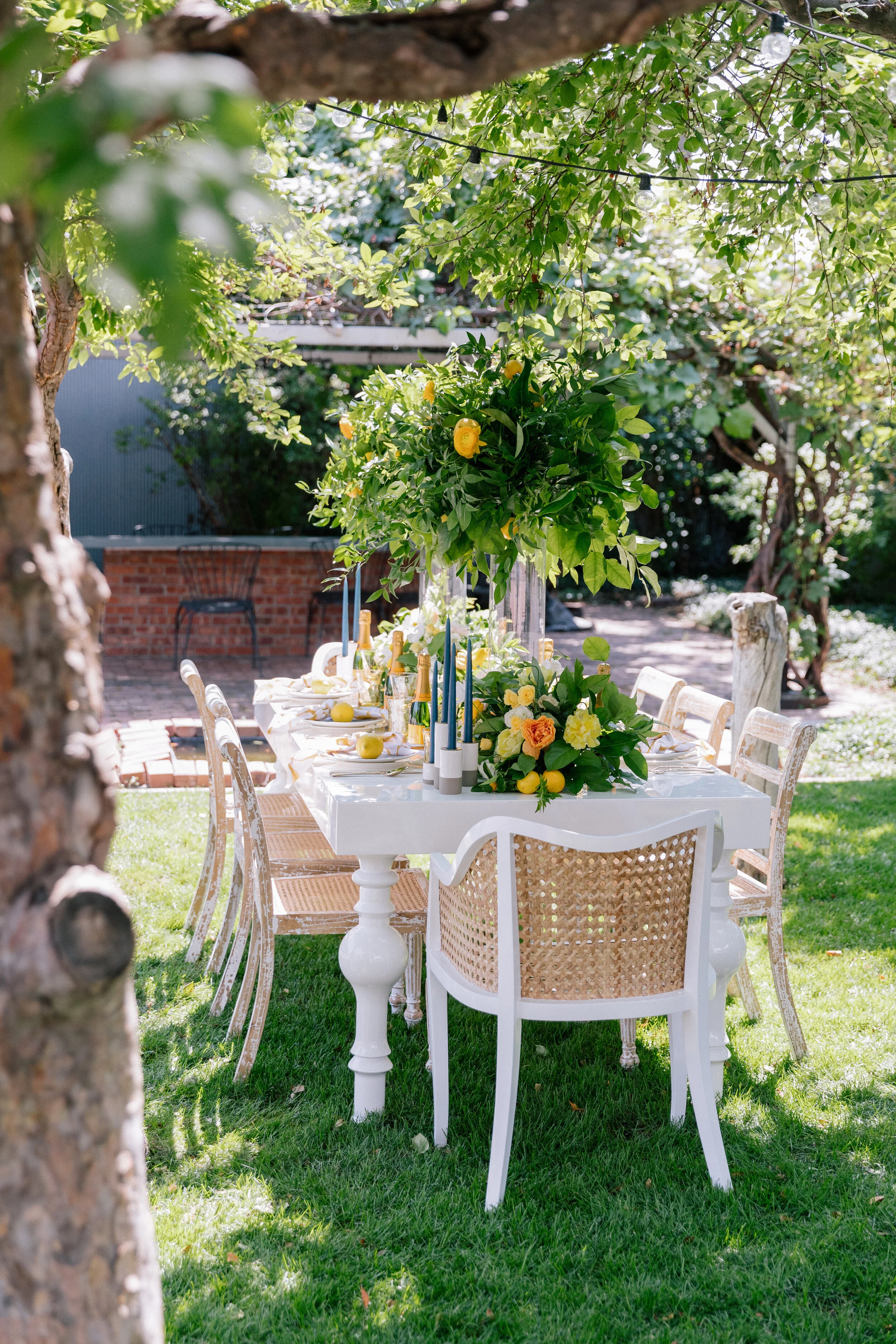 blanc_sp_0032 copy.jpg