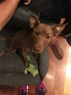 New Year's Resolutions