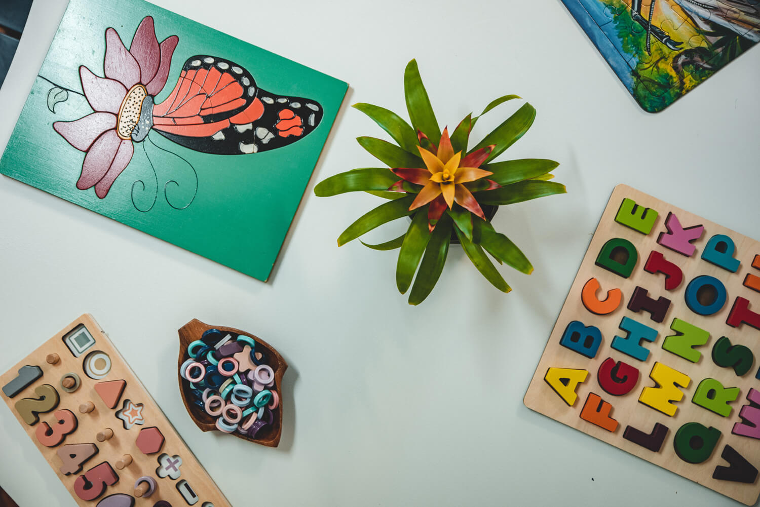 early-childhood-centres-tauranga-reach-for-the-stars