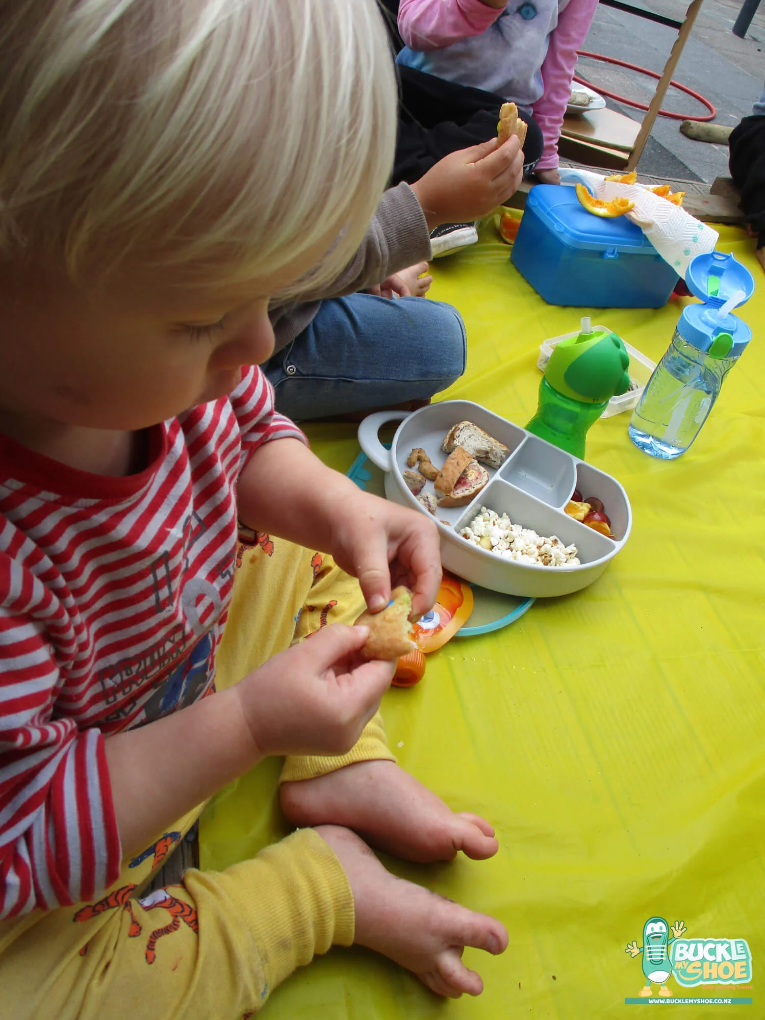 buckle-my-shoe-childcare-preschool-tauranga-daffodil-17.jpg