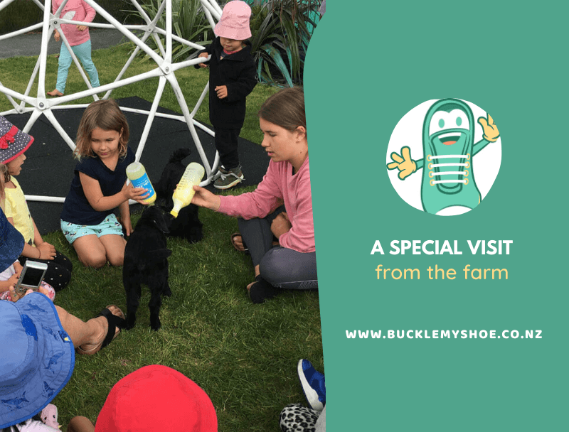 A Special Visit from the Farm!