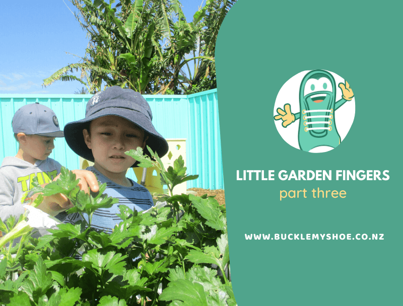 Little Garden Fingers (Part Three): Garden to Table