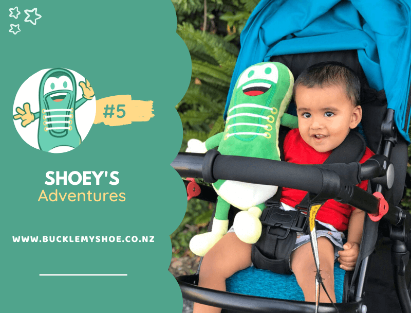 Shoey's Adventures: Family Fun 5