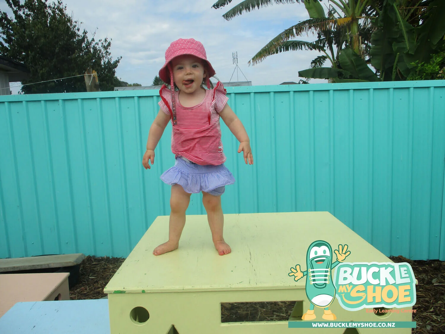 buckle-my-shoe-childcare-tauranga-daycare-preschool-time-climb-6.jpg