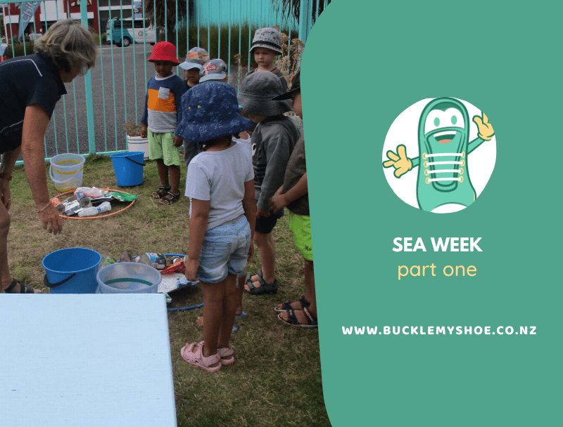 Sea Week at Buckle My Shoe (Part One)