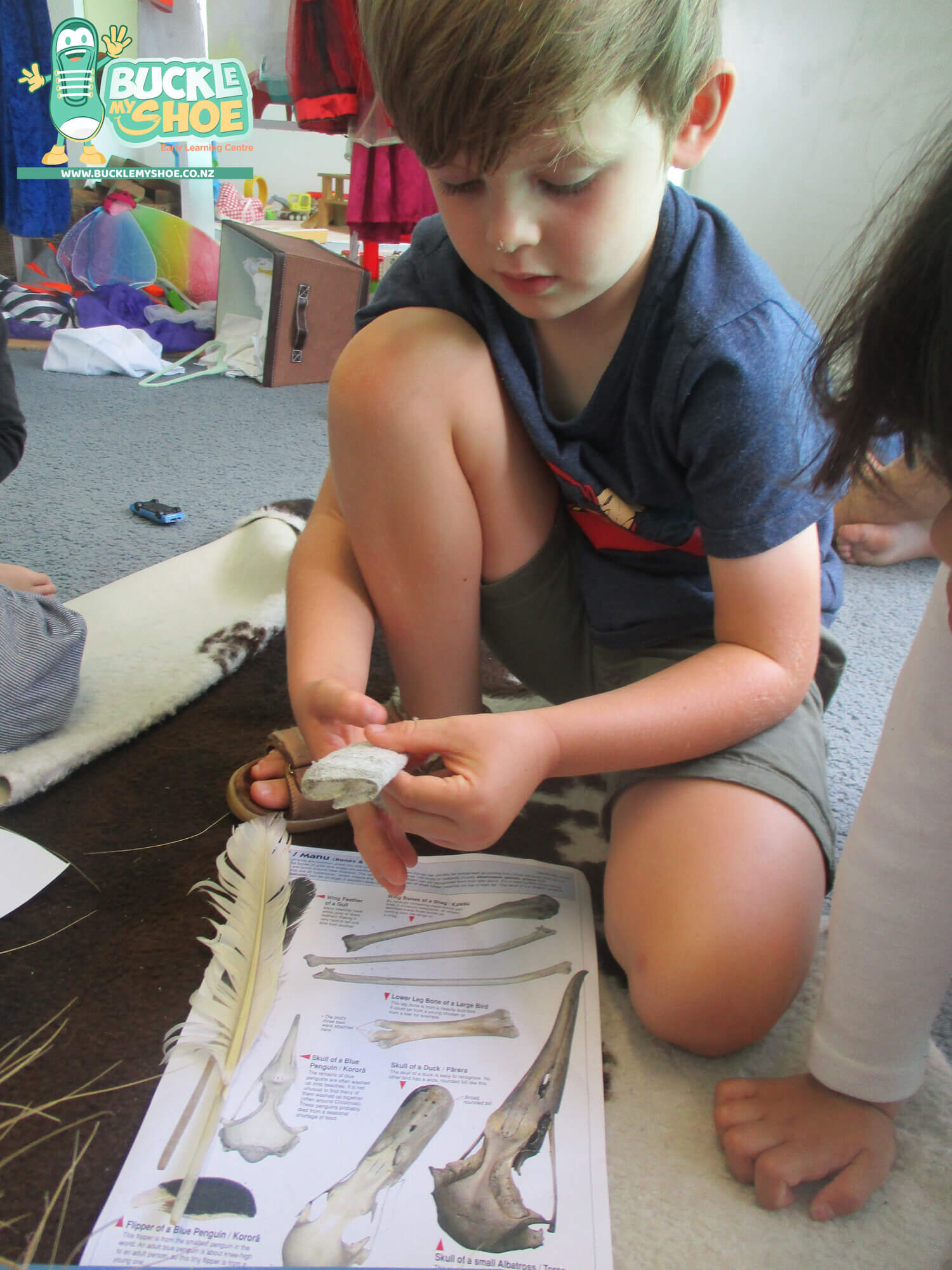 buckle-my-shoe-childcare-tauranga-daycare-preschool-sea-week-2-7.jpg