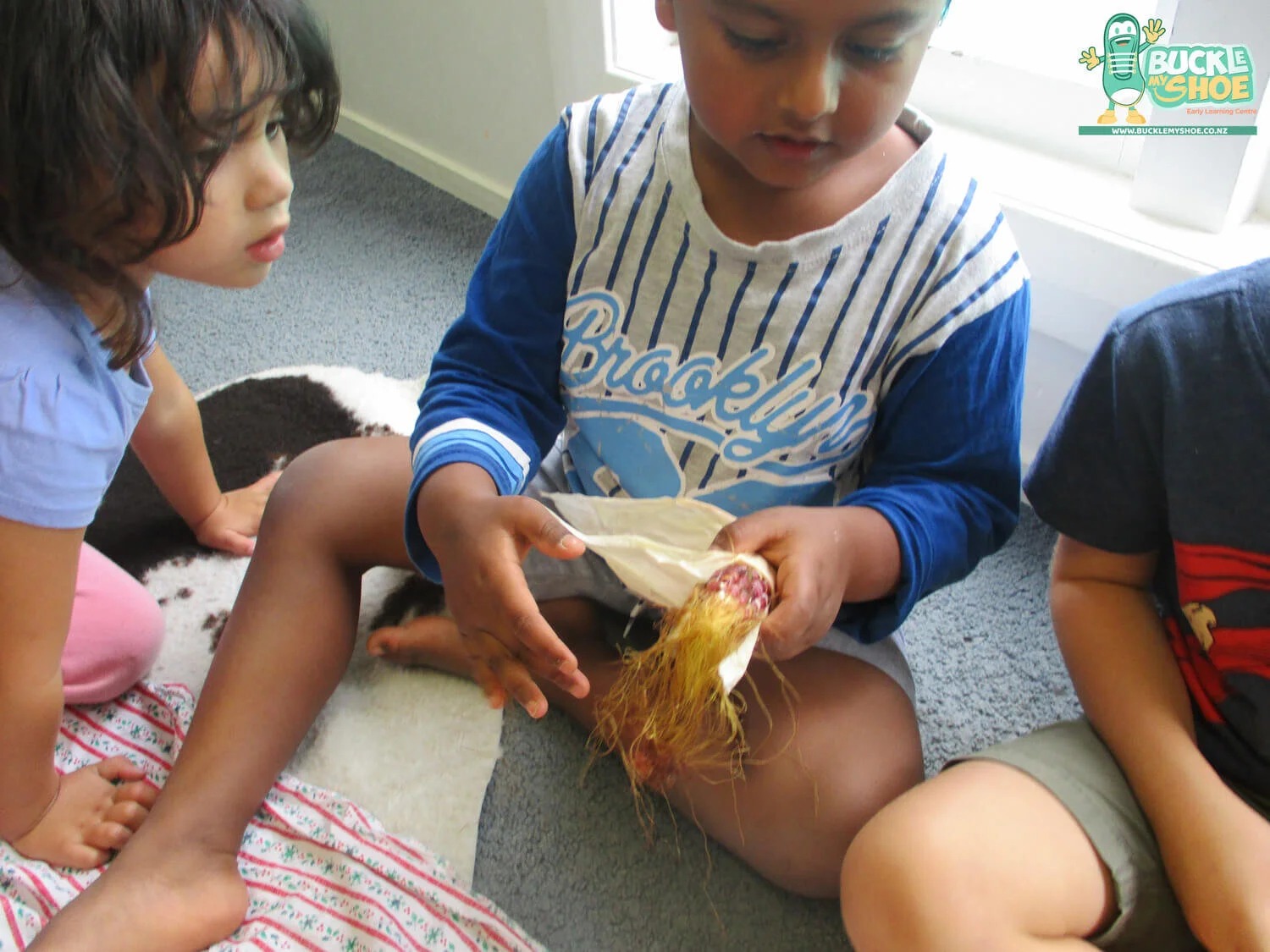 buckle-my-shoe-childcare-tauranga-daycare-preschool-centre-happening-12-9.jpg