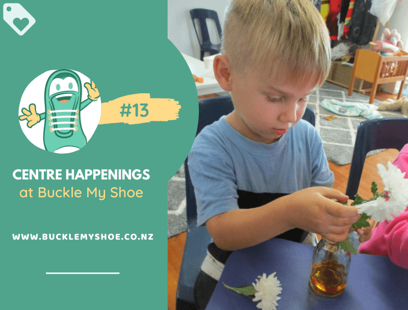 Colour Changing Flowers