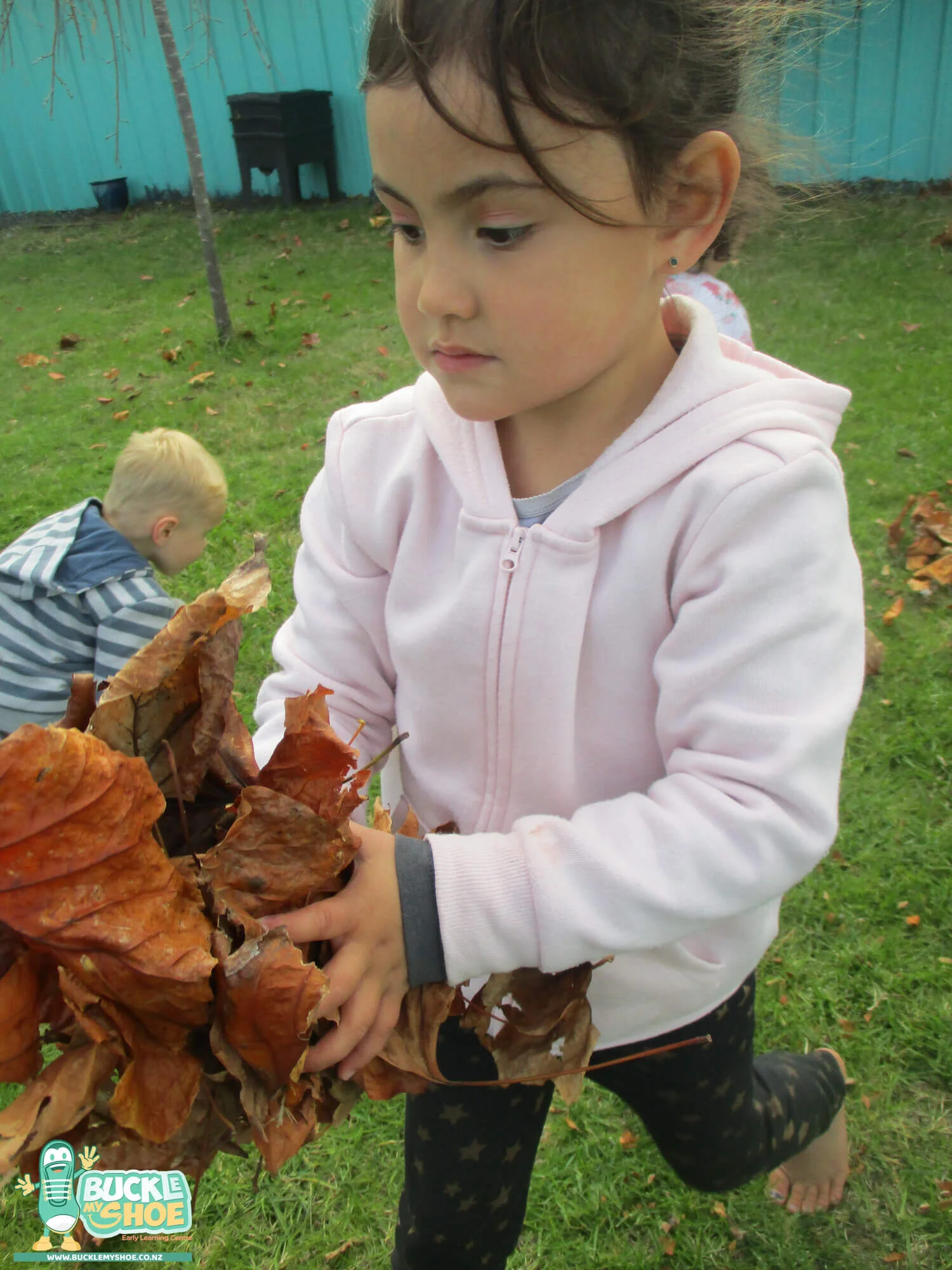 buckle-my-shoe-childcare-tauranga-daycare-preschool-centre-happening-14-8.jpg