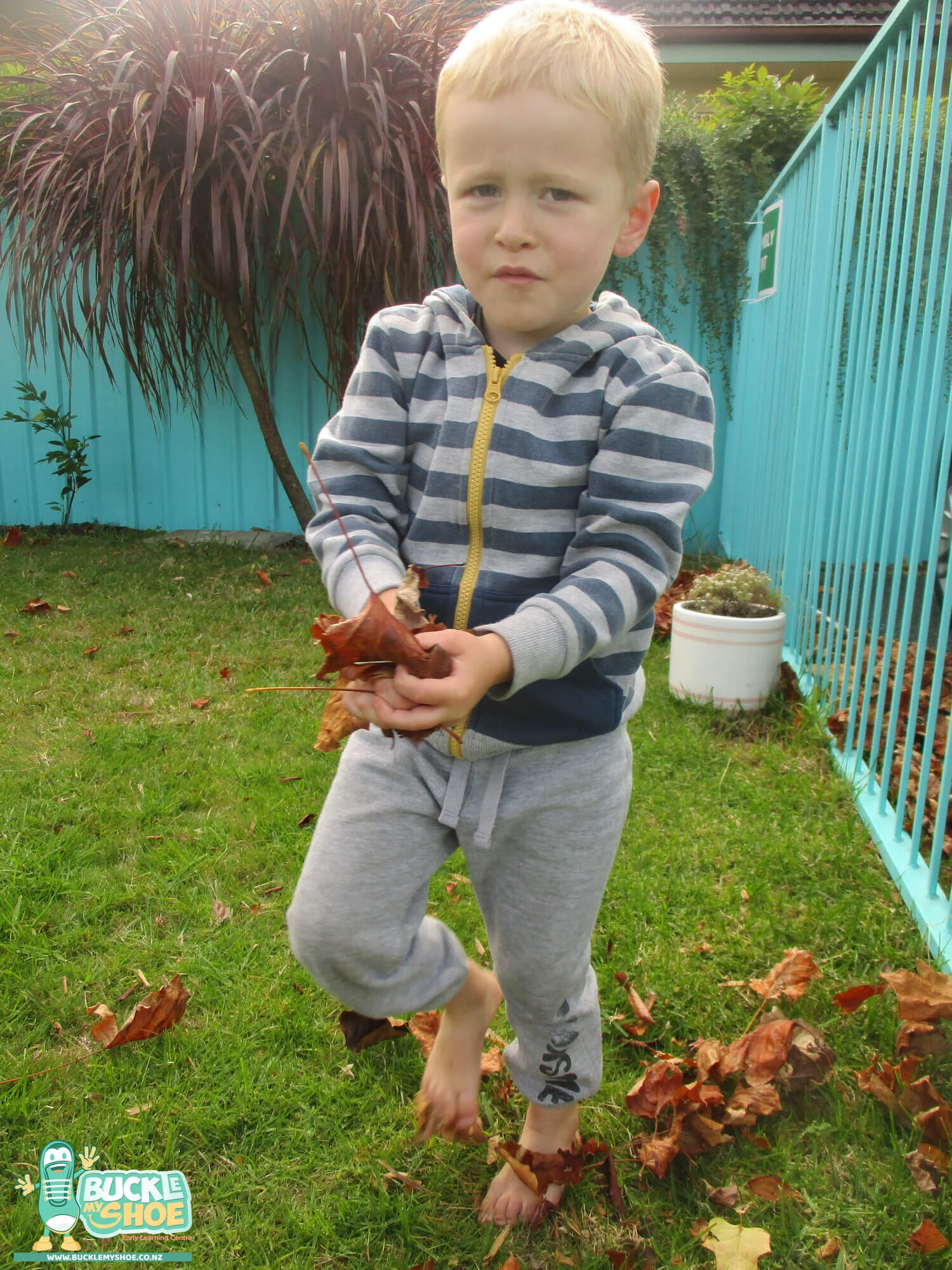 buckle-my-shoe-childcare-tauranga-daycare-preschool-centre-happening-14-10.jpg