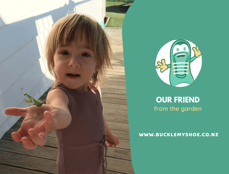 Our Friend From the Garden!