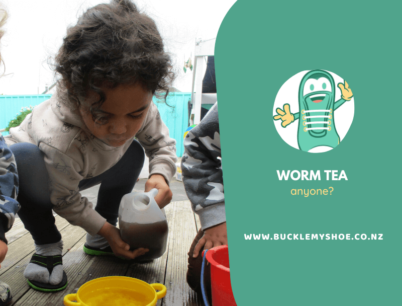Worm Tea Anyone?