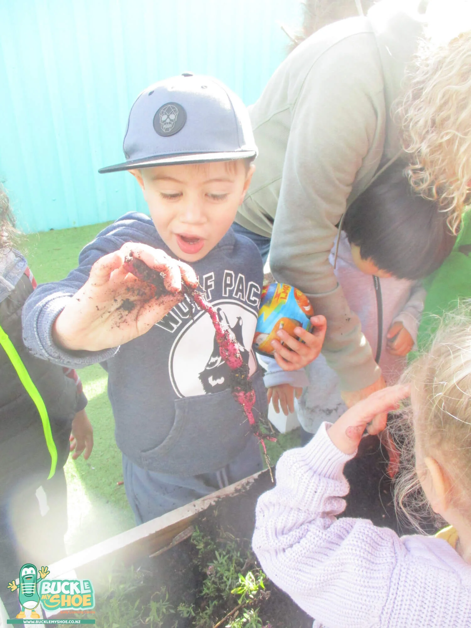 buckle-my-shoe-childcare-tauranga-daycare-preschool-kumara-harvesting-9.jpg
