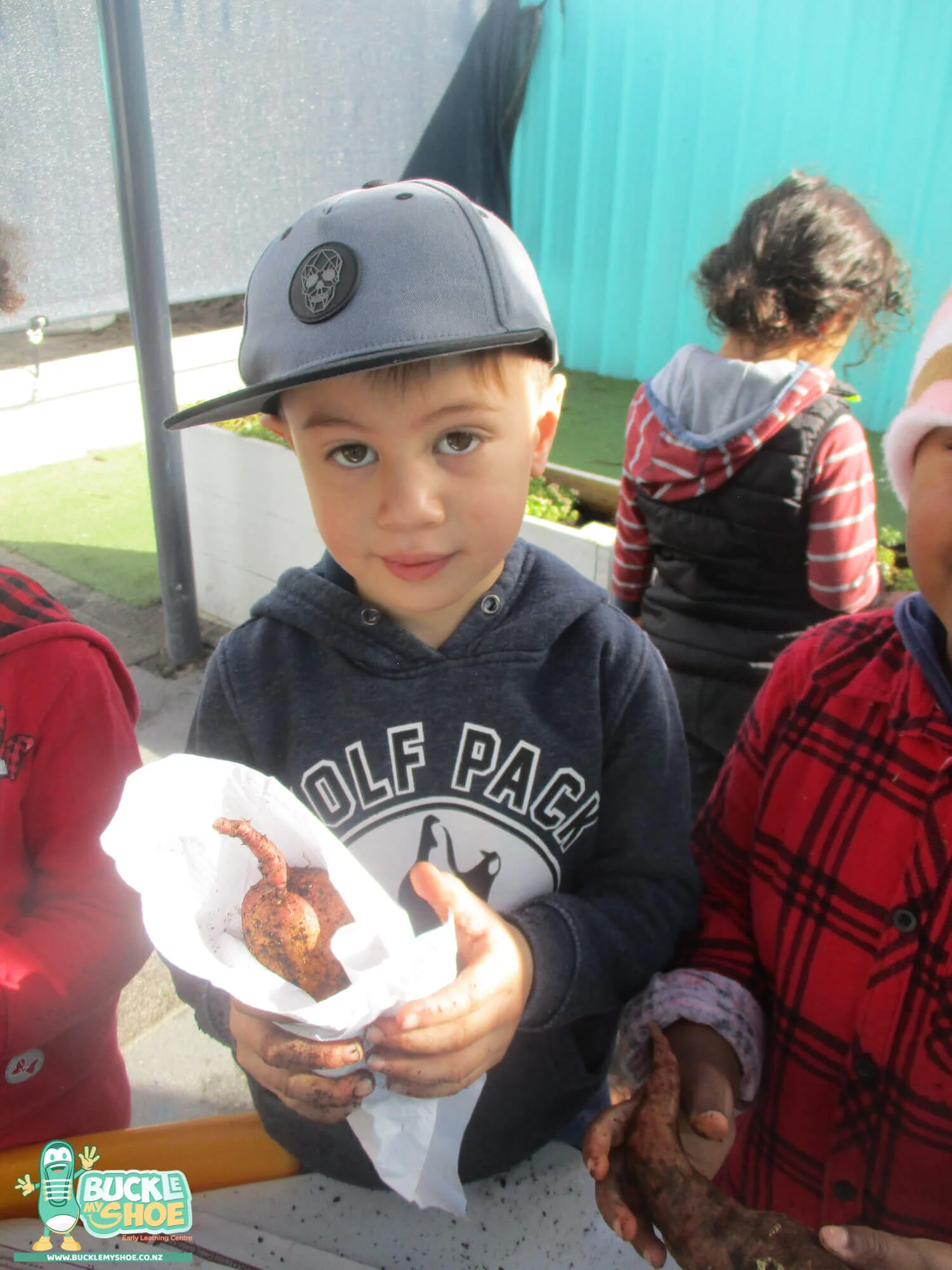 buckle-my-shoe-childcare-tauranga-daycare-preschool-kumara-harvesting-11.jpg