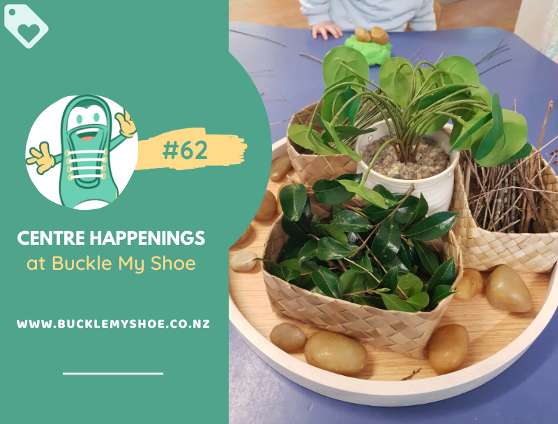 Our Little Forests: Imagining, Creating and Exploring!