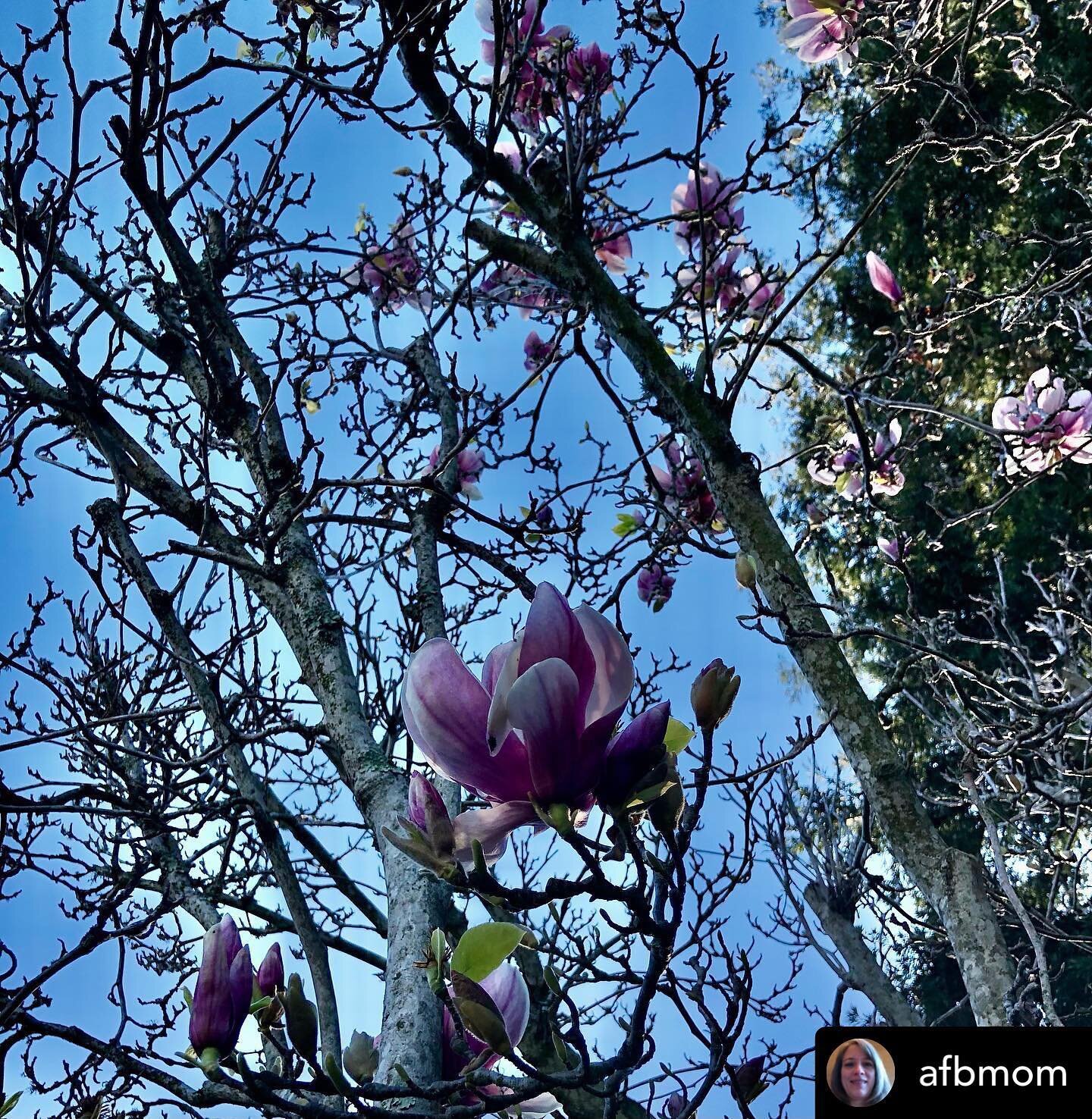 🦓 Thank you so much! 💫 

Posted @withregram &bull; @afbmom Went on a journey searching for signs of Spring in honor of those kids and families on a diagnostic journey. @littlezebrafund Move for a Diagnosis