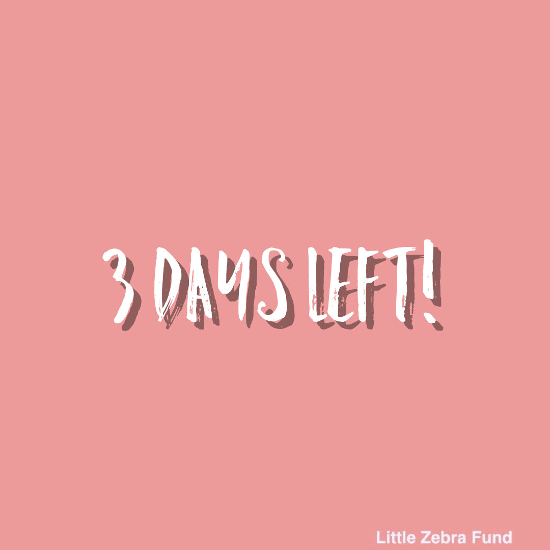 There are just 3 days remaining in our annual February fundraiser! If you are able, please donate $28 or more through the link in our bio. Your donation will immediately help us change lives since we have patients on our waitlist that will be able to