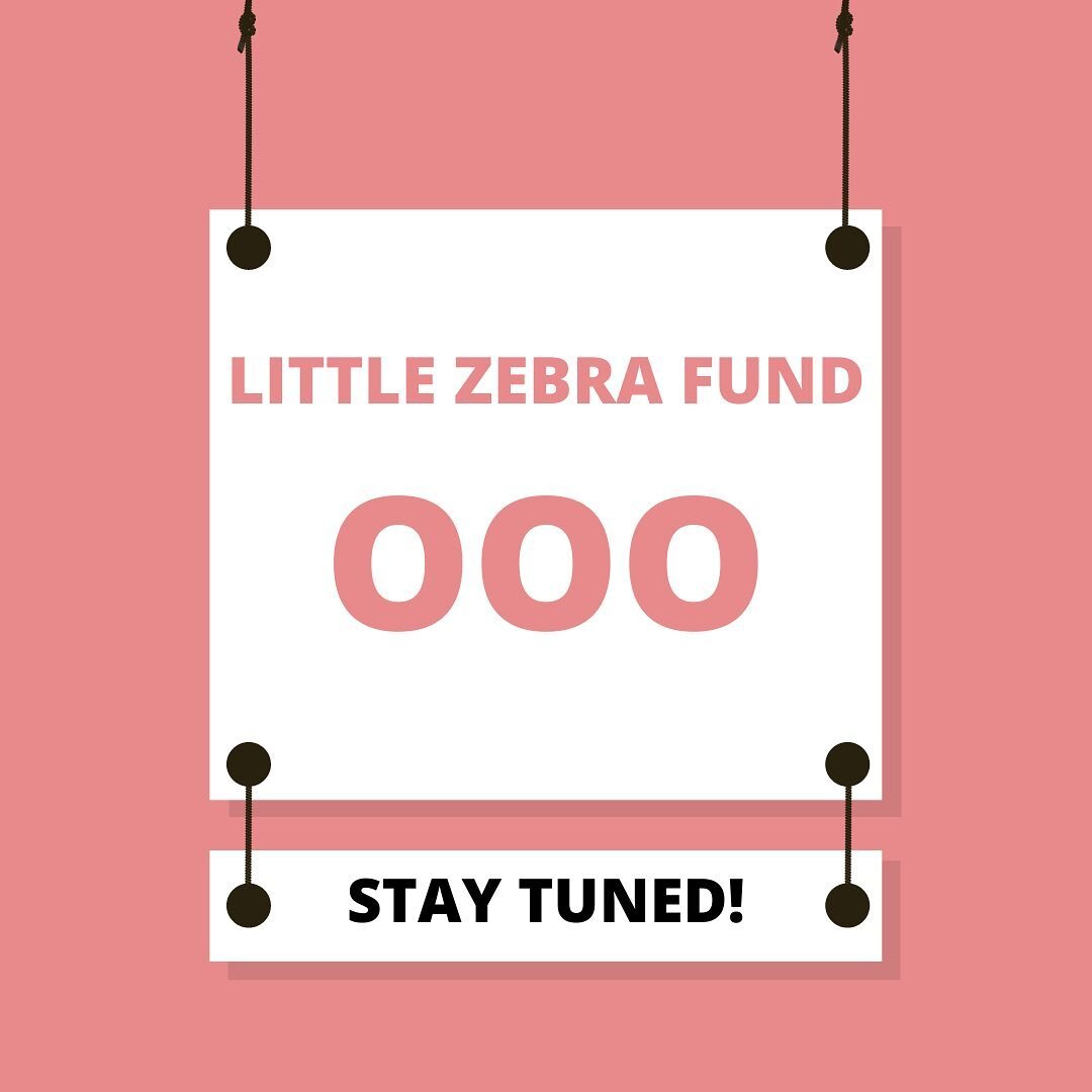 💫 Little Zebra Fund will be on a social media &ldquo;pause&rdquo; until Fall 2022! We will continue to process applications during this OOO/maternity leave time!🦓