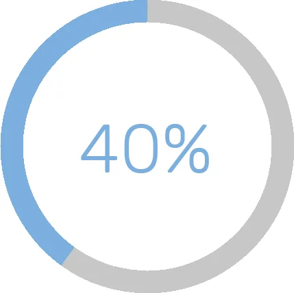 40%.jpg