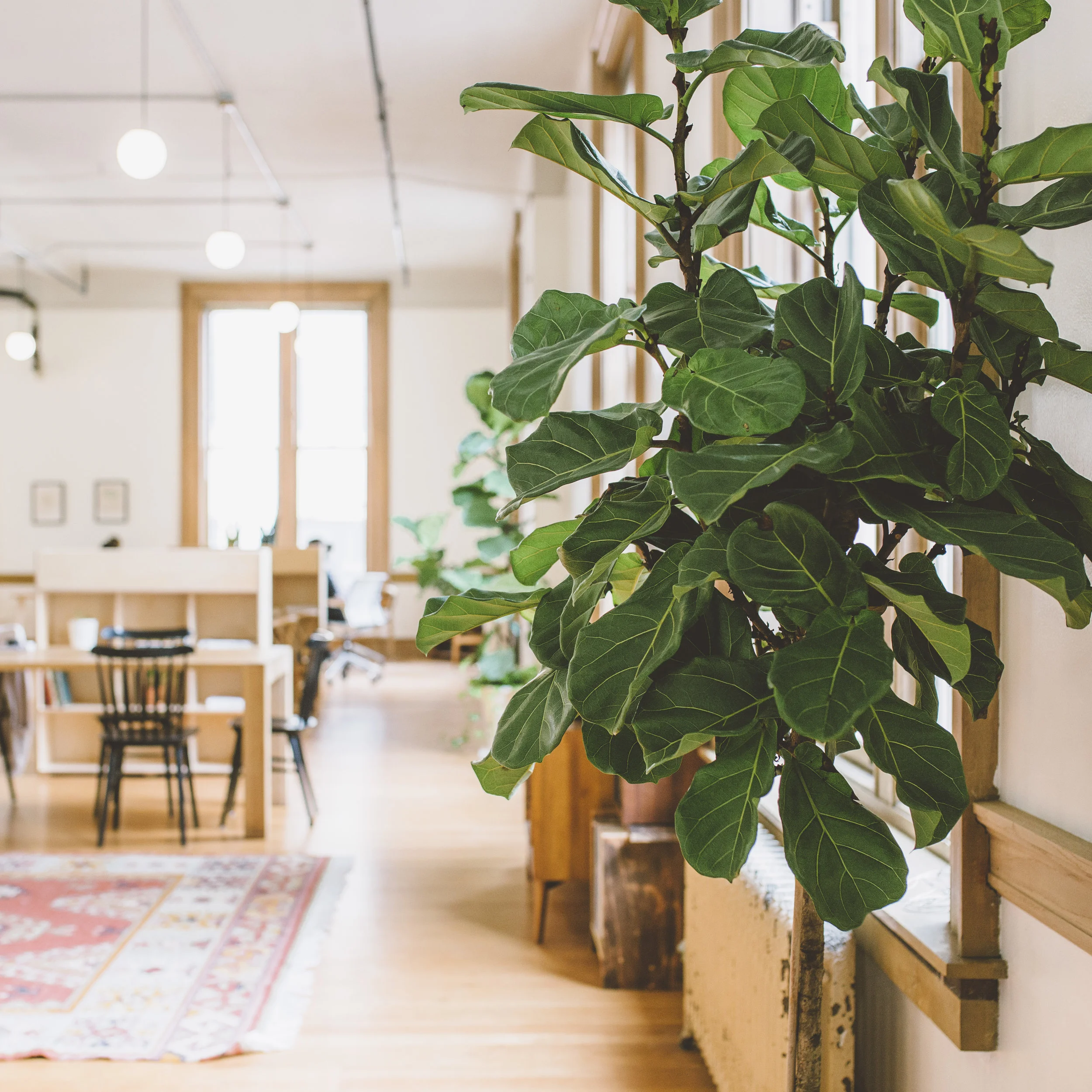 Location Ideas for your Brand Photoshoot