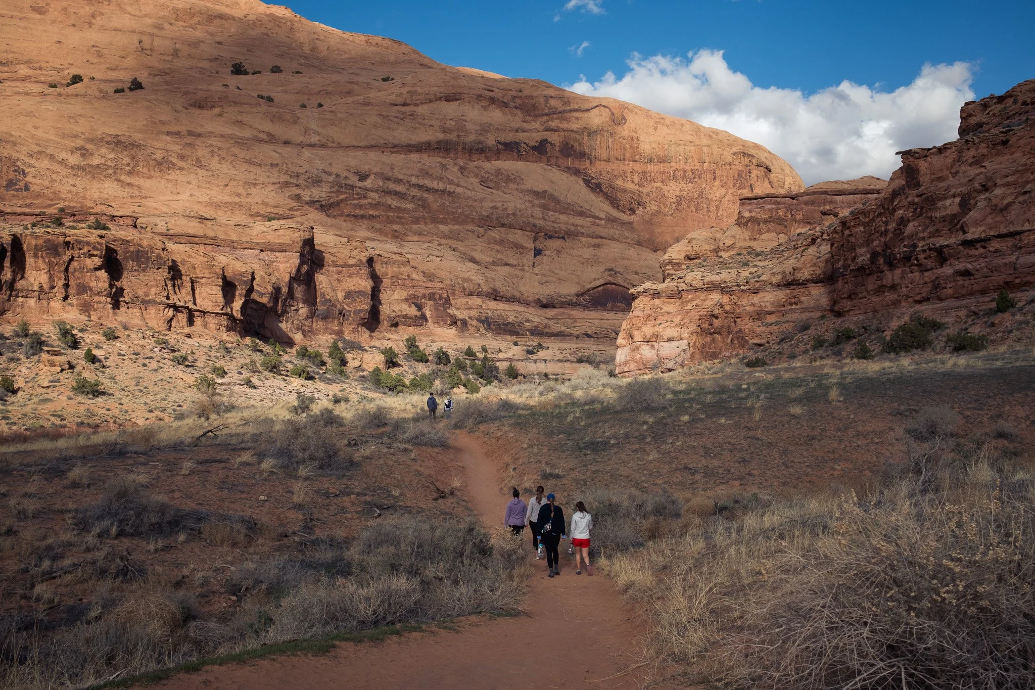 20250313-DSCF0775 - web-2.jpg