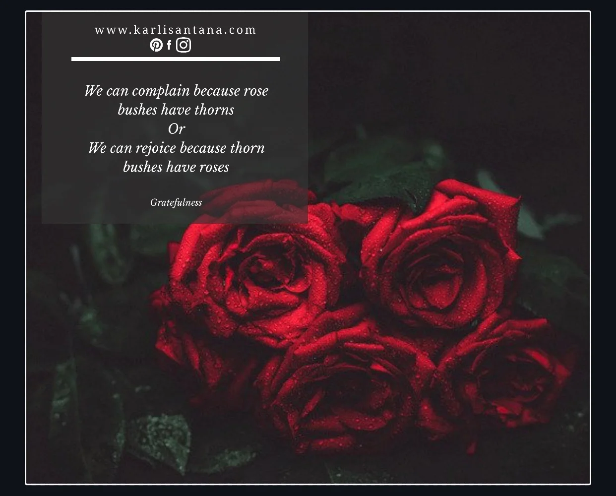 6E7A104D-DE39-4CD7-A656-9207C2E4C024