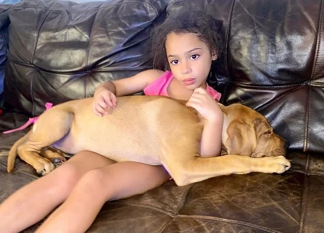 Sadie loves to cuddle. 
Swipe right - from April to June she&rsquo;s grown so much. .
.
#mybrothersdog #cuddles #bestbuds #snugglebuddy #AuroraBellaS #bigdog #dogsofinstagram #kidsofinstagram #southflorida #rhodesianridgeback #blackmouthcur #sosweet 