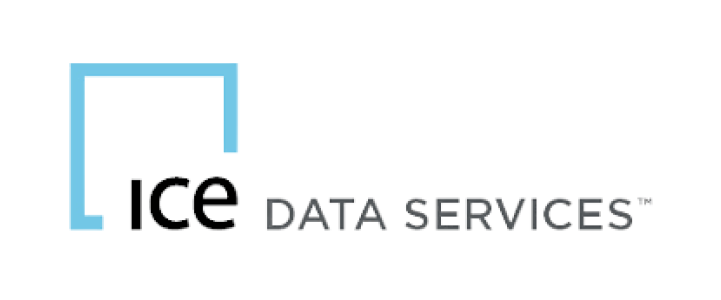 ICE DATA SERVICES (1).png
