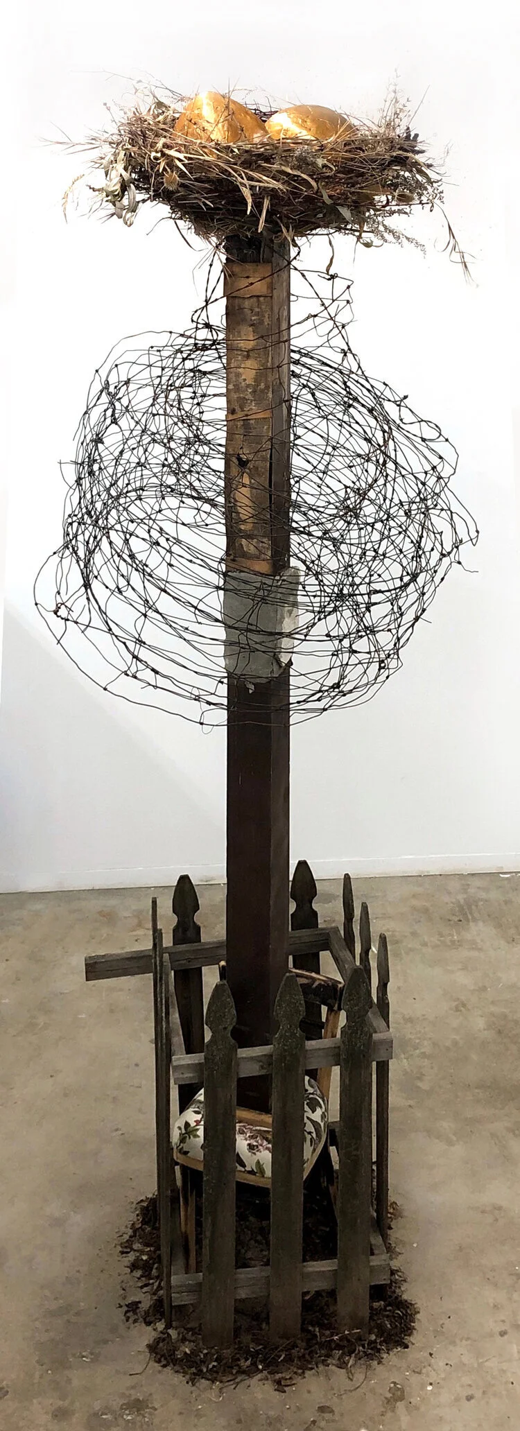 The MarOakTreeTall.jpg