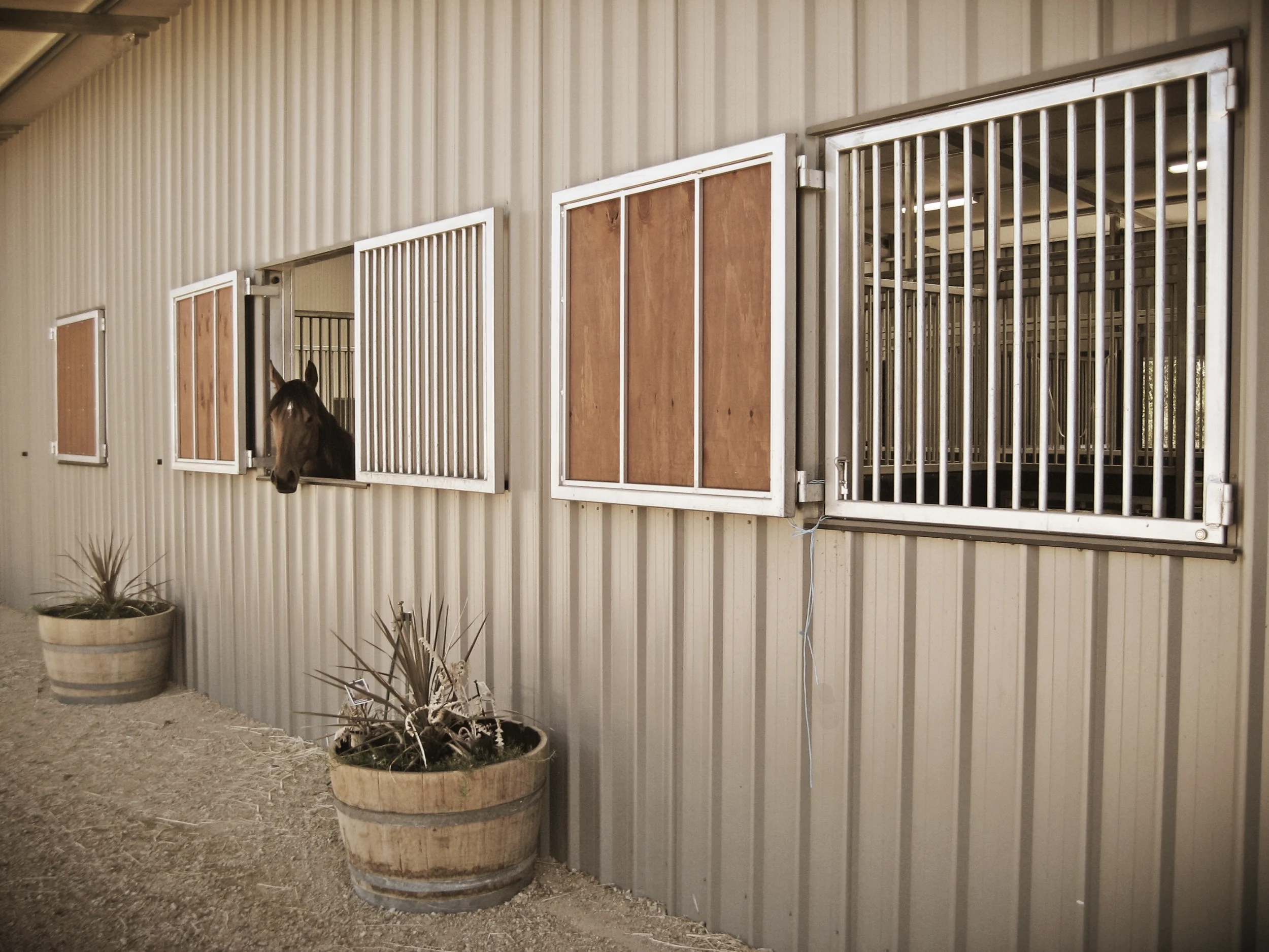 Keysborough Equine  Rehabilitation and Agistment Centre