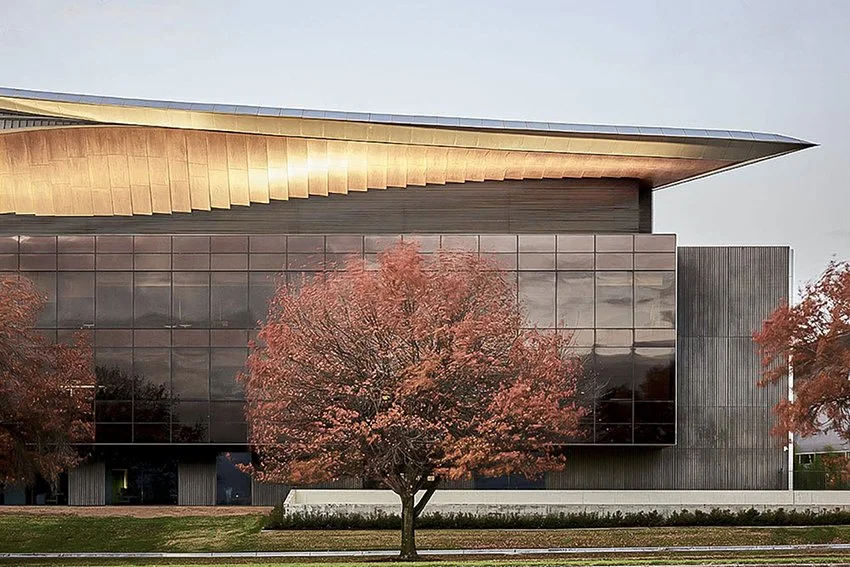 The Soaring Eagle.jpg