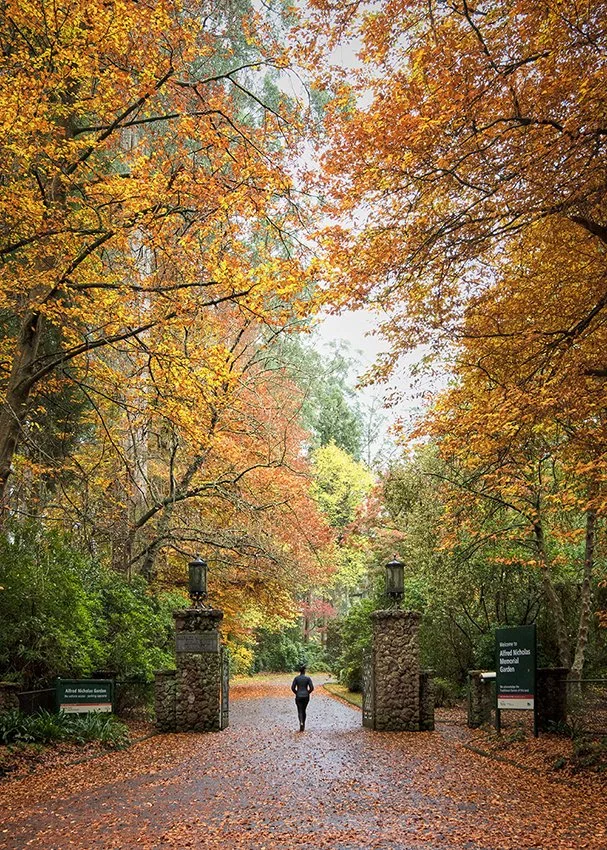 A walk to remember.jpg