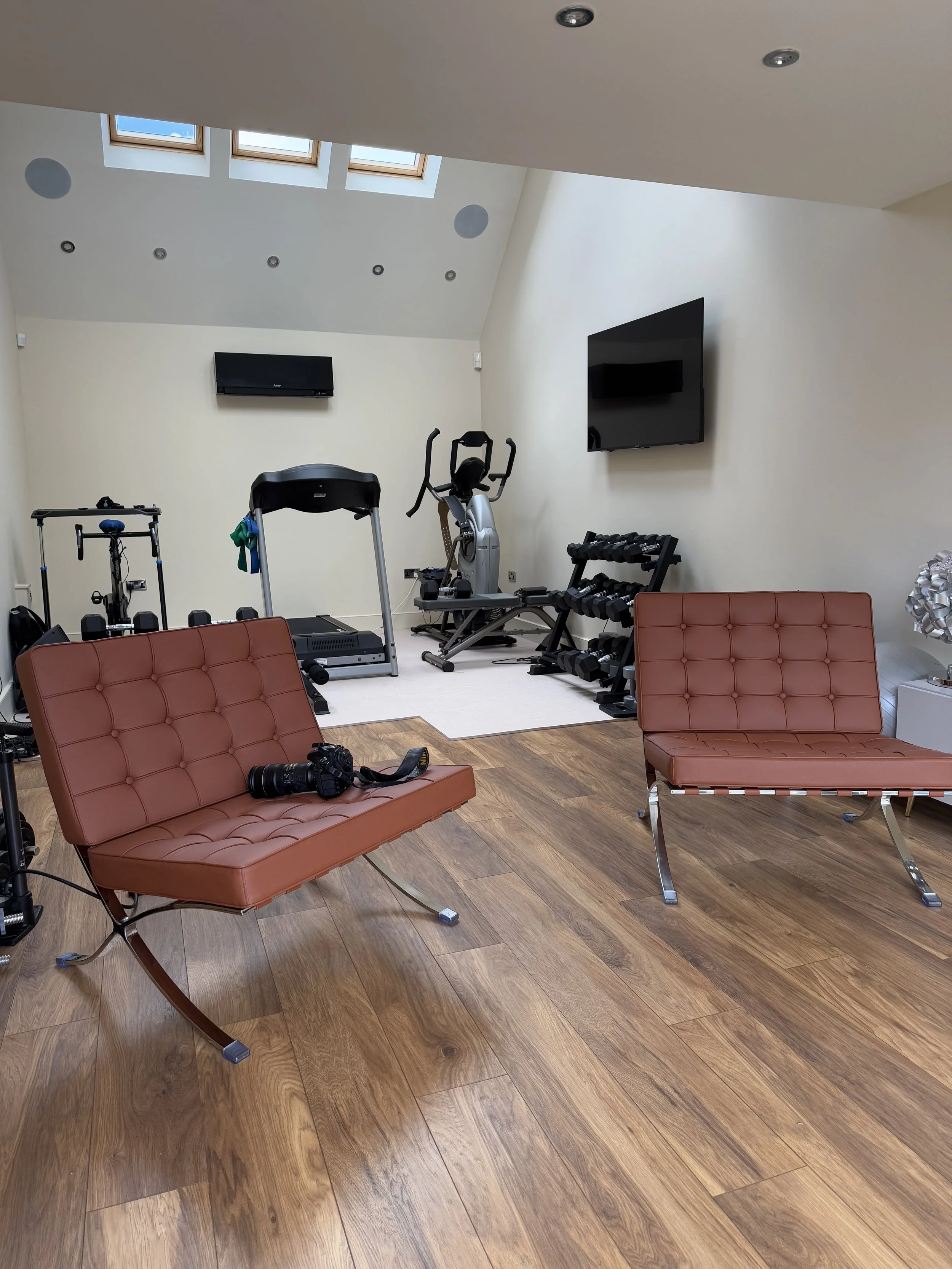 Barcelona Chair Gym Equipment
