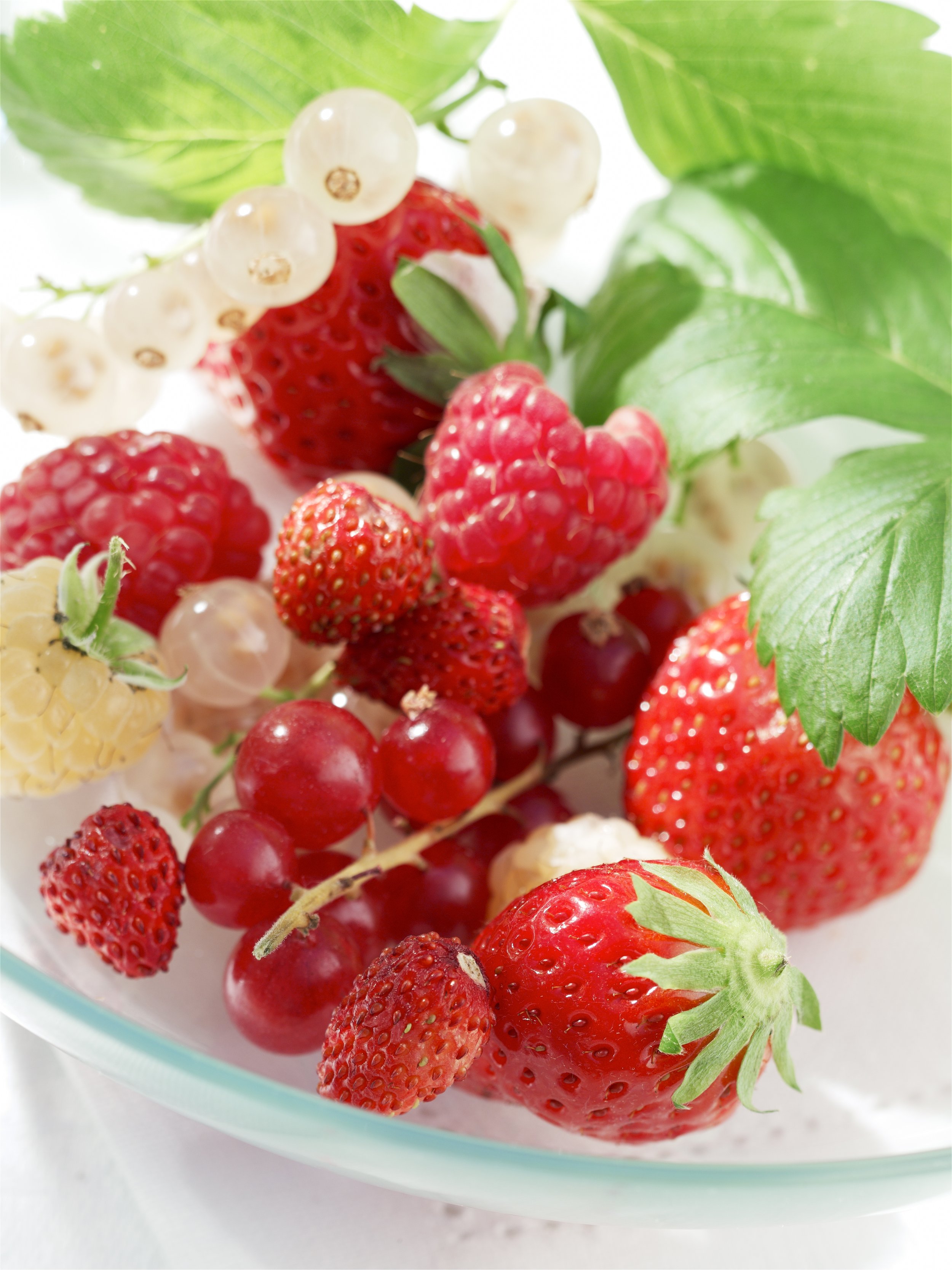 fruits_rouges_1563.jpg