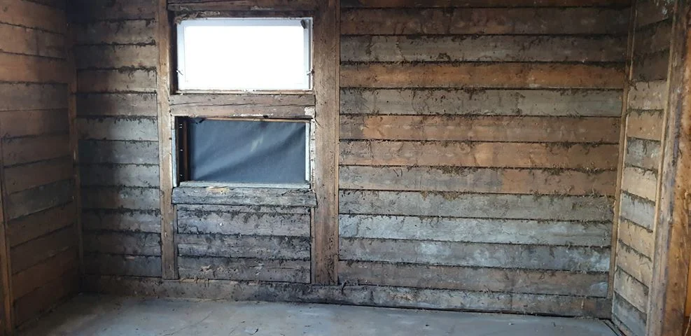 51670542_768422453530980_8803328517388369920_n.jpg