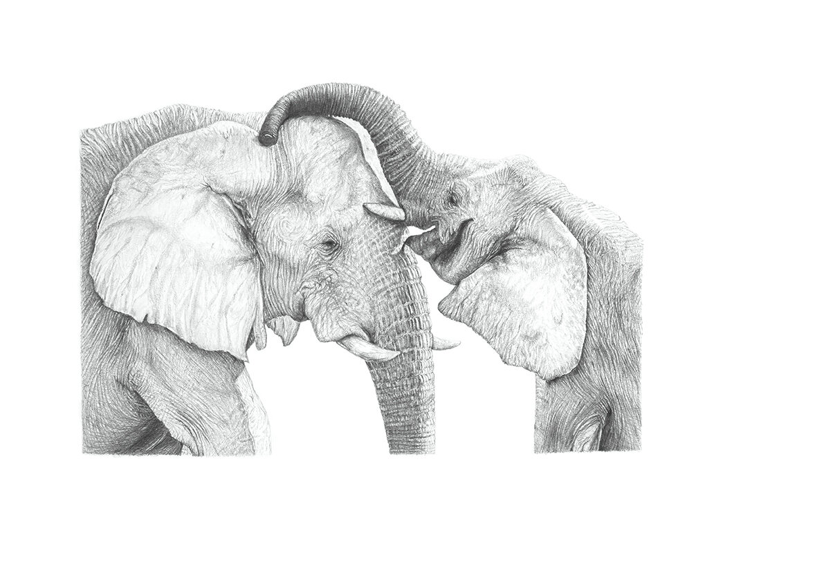 Elephants Drawing.jpg