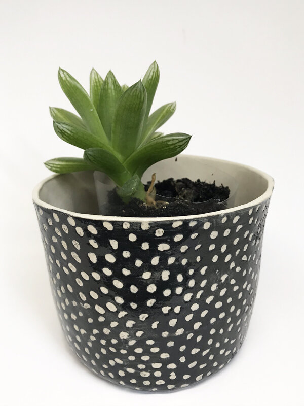 Spotty planter/tumbler
